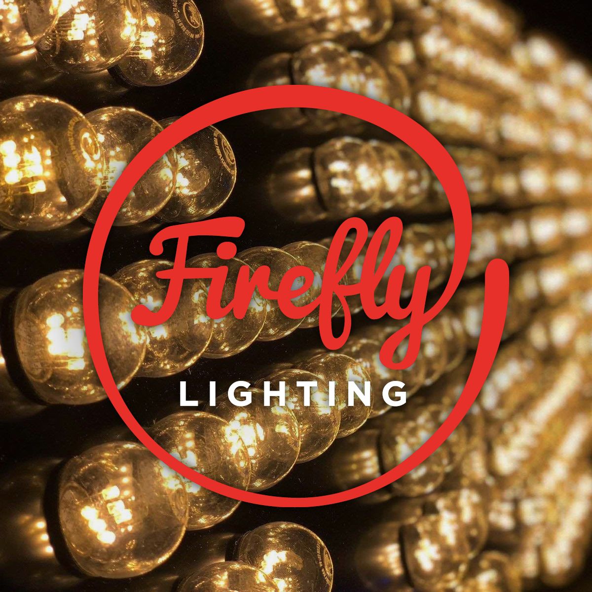 Firefly Festoon and Fairy Lights